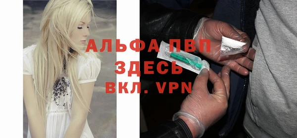 хмурый Абаза