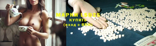 стафф Алзамай