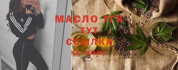 хмурый Абаза