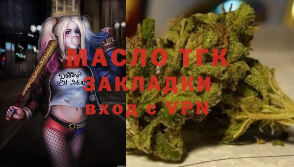 хмурый Абаза