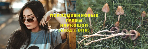 марки lsd Алексеевка