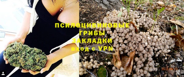 хмурый Абаза
